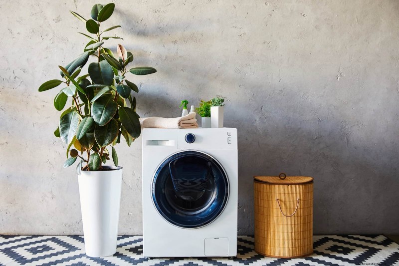 Troubleshooting Plant Problems: 10 Unexpected Causes for Plant Struggles