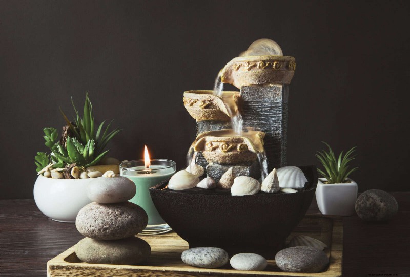 Troubleshooting Plant Problems: 10 Unexpected Causes for Plant Struggles