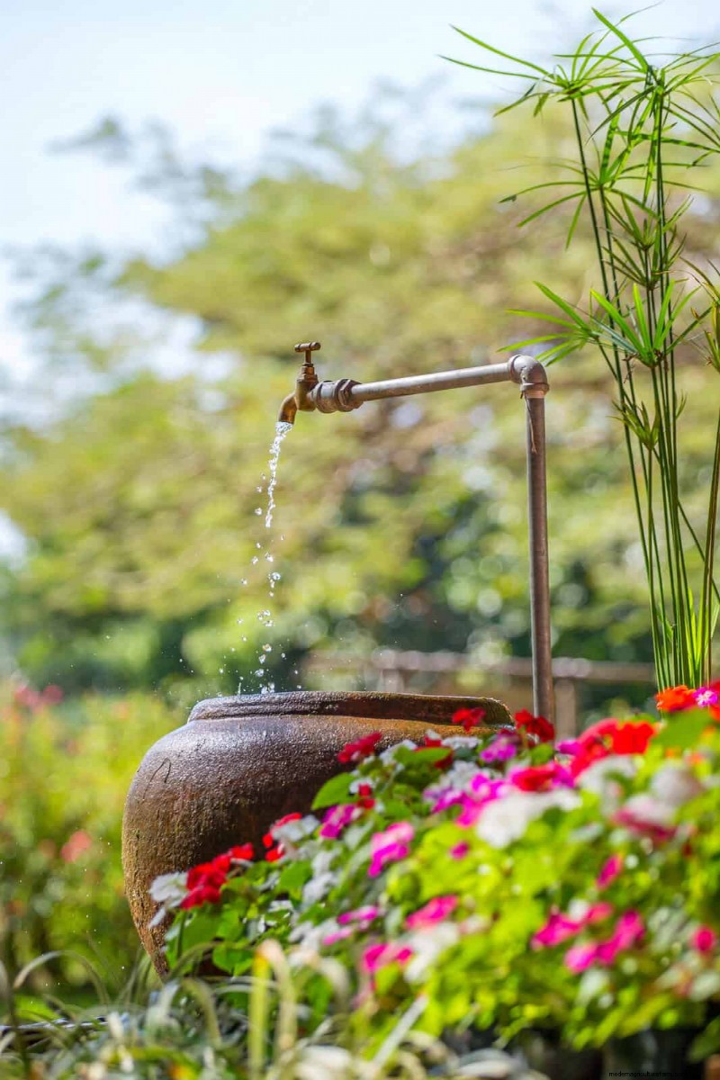 Troubleshooting Plant Problems: 10 Unexpected Causes for Plant Struggles