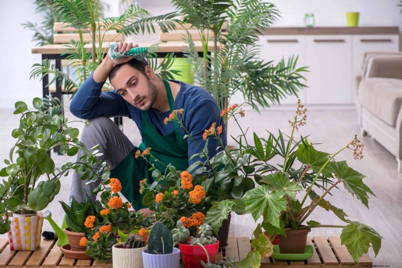 Troubleshooting Plant Problems: 10 Unexpected Causes for Plant Struggles