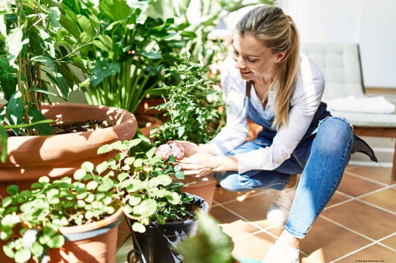 Troubleshooting Plant Problems: 10 Unexpected Causes for Plant Struggles