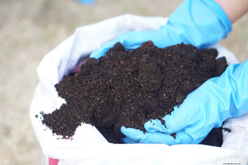 Mid-Season Vegetable Garden Care: 15 Tasks for a Bountiful Harvest