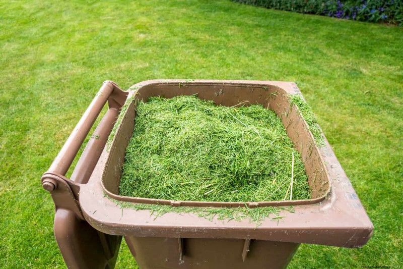 11 Free Mulch Alternatives: Save Money & Enhance Your Garden