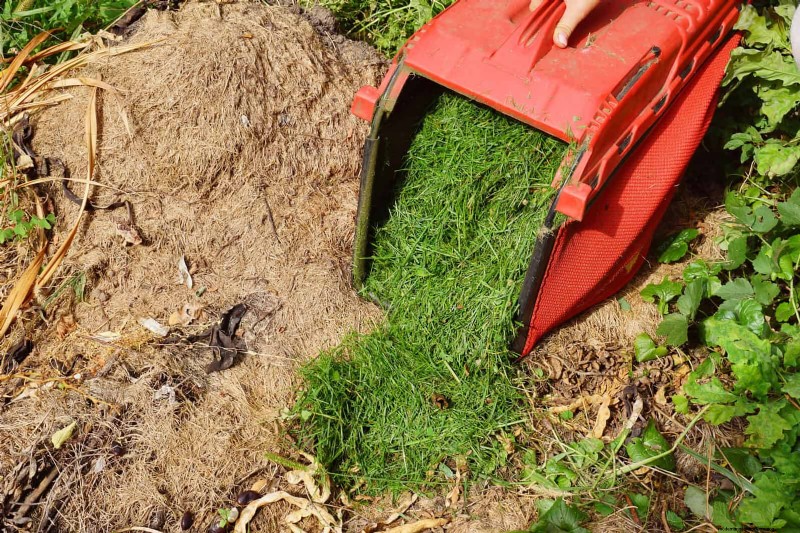 11 Free Mulch Alternatives: Save Money & Enhance Your Garden