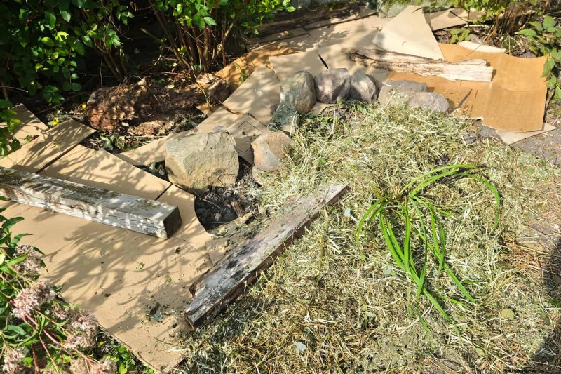 11 Free Mulch Alternatives: Save Money & Enhance Your Garden