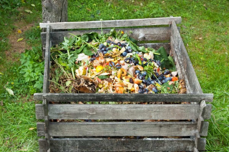 11 Free Mulch Alternatives: Save Money & Enhance Your Garden