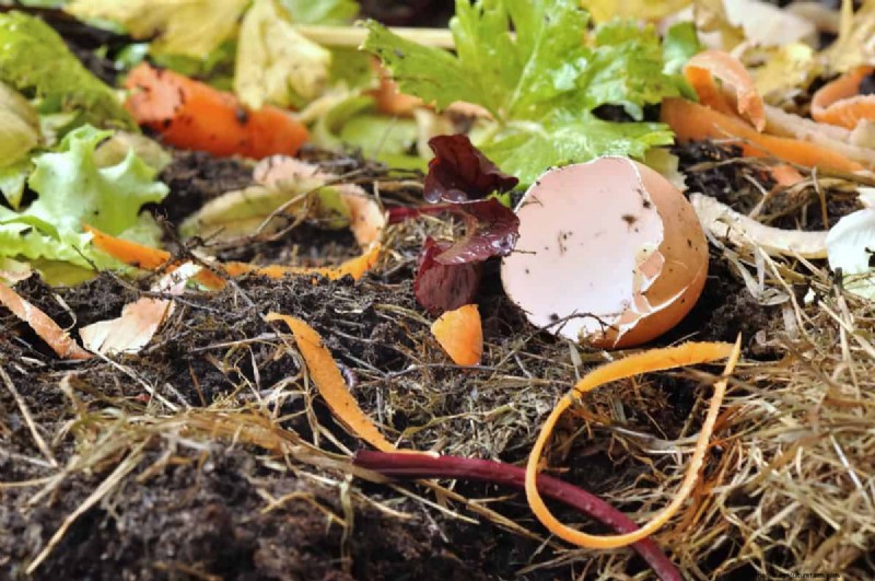 11 Free Mulch Alternatives: Save Money & Enhance Your Garden