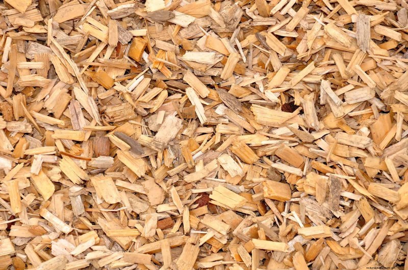 11 Free Mulch Alternatives: Save Money & Enhance Your Garden