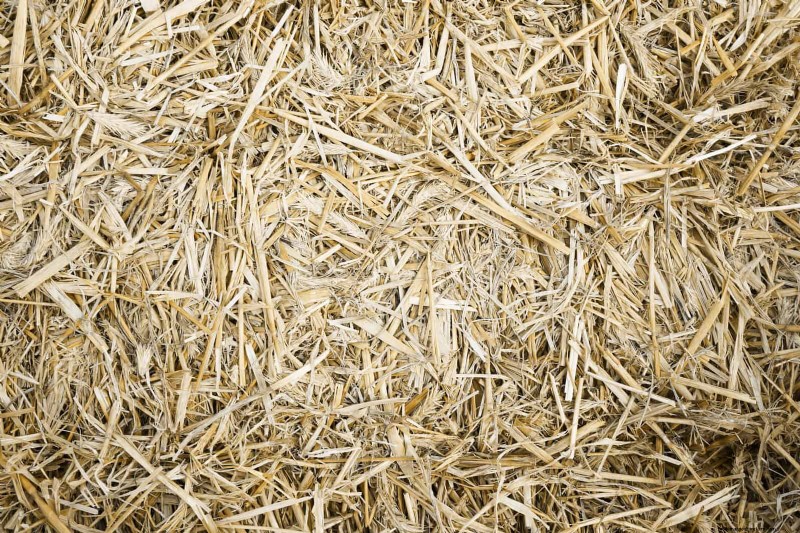 11 Free Mulch Alternatives: Save Money & Enhance Your Garden