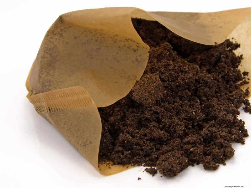 11 Free Mulch Alternatives: Save Money & Enhance Your Garden