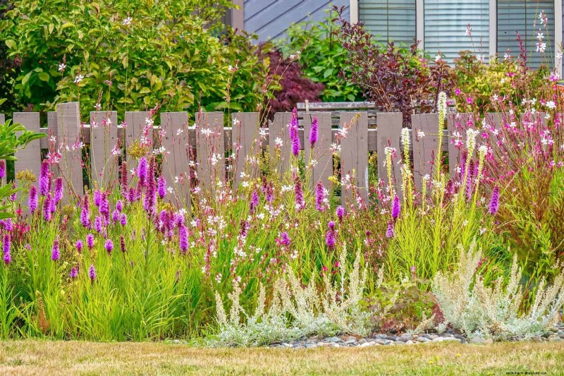 11 Common Garden Plants That Can Harm Your Beds – Prevention Tips