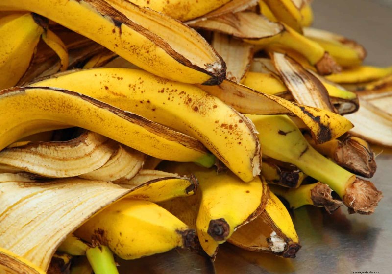 DIY Natural Fertilizers: 14 Household Items for a Thriving Garden