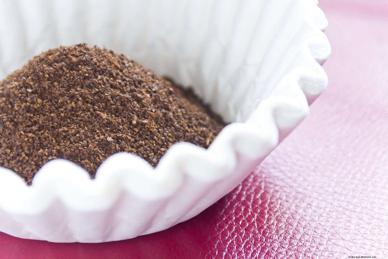DIY Natural Fertilizers: 14 Household Items for a Thriving Garden