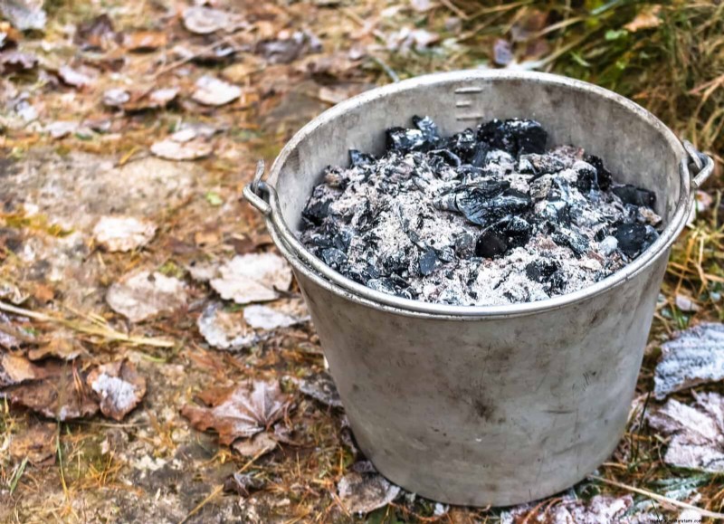 DIY Natural Fertilizers: 14 Household Items for a Thriving Garden