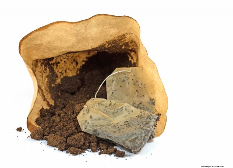 DIY Natural Fertilizers: 14 Household Items for a Thriving Garden