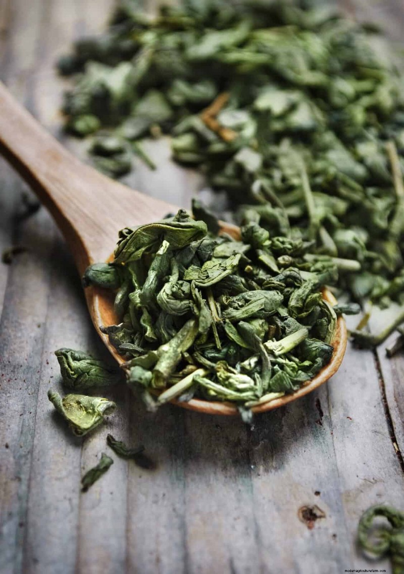 DIY Natural Fertilizers: 14 Household Items for a Thriving Garden
