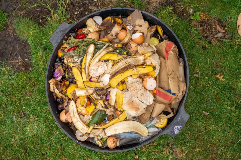 DIY Natural Fertilizers: 14 Household Items for a Thriving Garden