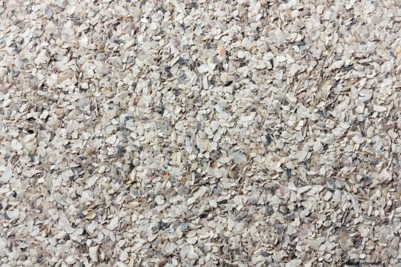 DIY Natural Fertilizers: 14 Household Items for a Thriving Garden