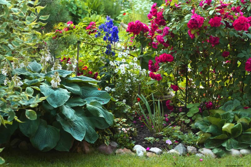 DIY Natural Fertilizers: 14 Household Items for a Thriving Garden