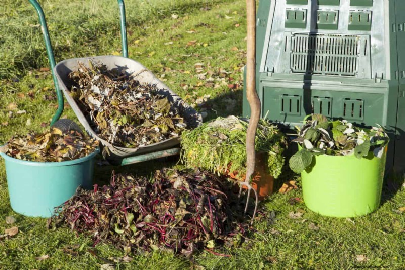 Transform Clay Soil: 13 Simple Steps to Improve Drainage & Fertility