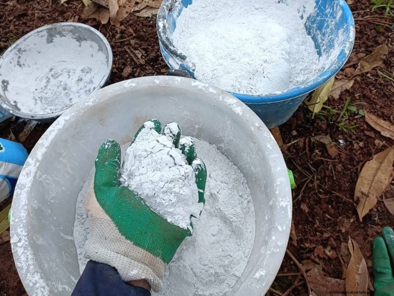 Transform Clay Soil: 13 Simple Steps to Improve Drainage & Fertility