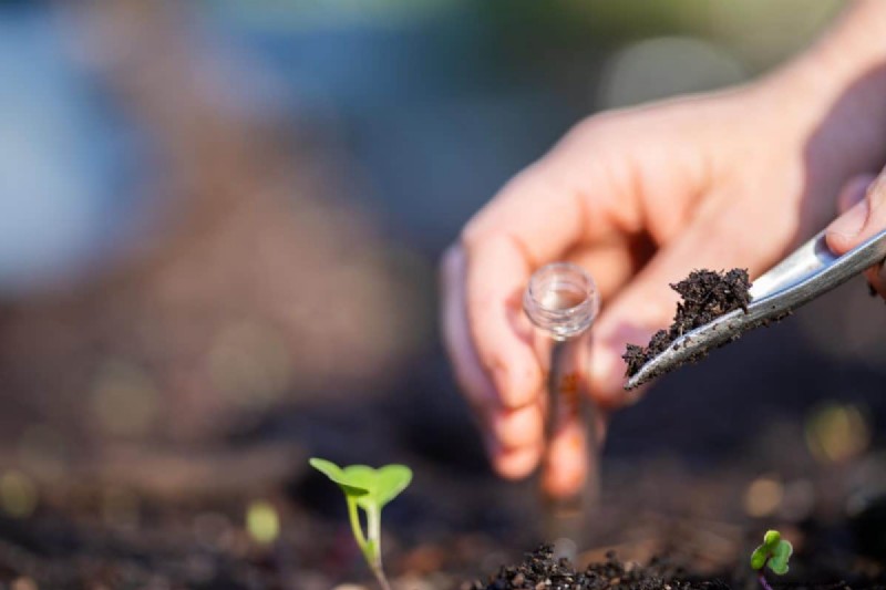 Transform Clay Soil: 13 Simple Steps to Improve Drainage & Fertility