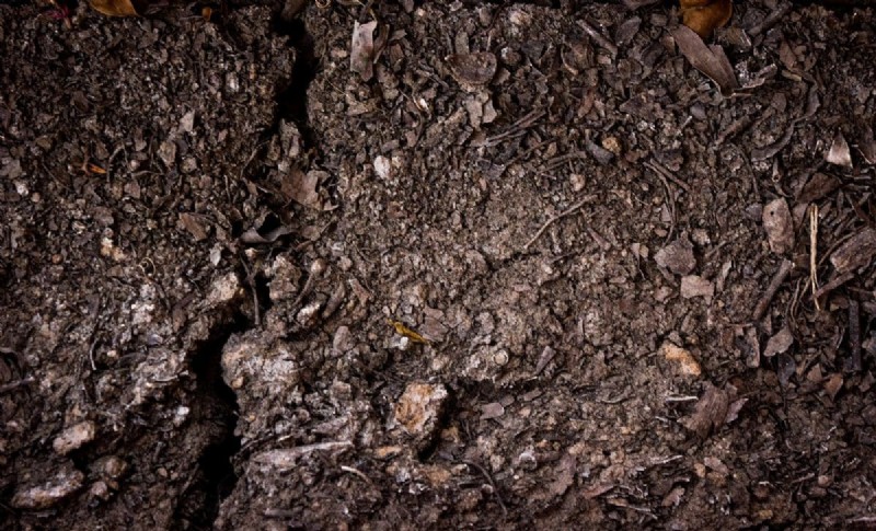 Transform Clay Soil: 13 Simple Steps to Improve Drainage & Fertility