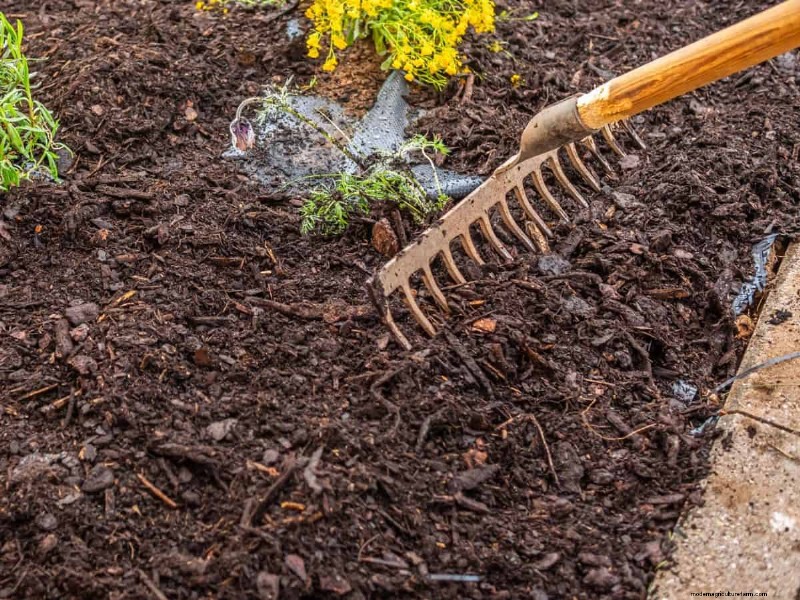 Transform Clay Soil: 13 Simple Steps to Improve Drainage & Fertility
