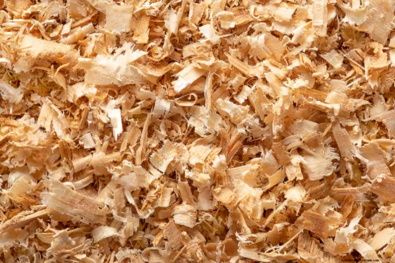 Transform Clay Soil: 13 Simple Steps to Improve Drainage & Fertility