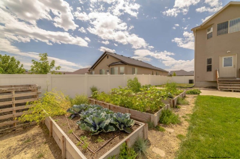 Transform Clay Soil: 13 Simple Steps to Improve Drainage & Fertility