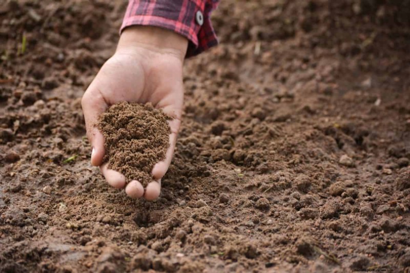 Transform Clay Soil: 13 Simple Steps to Improve Drainage & Fertility