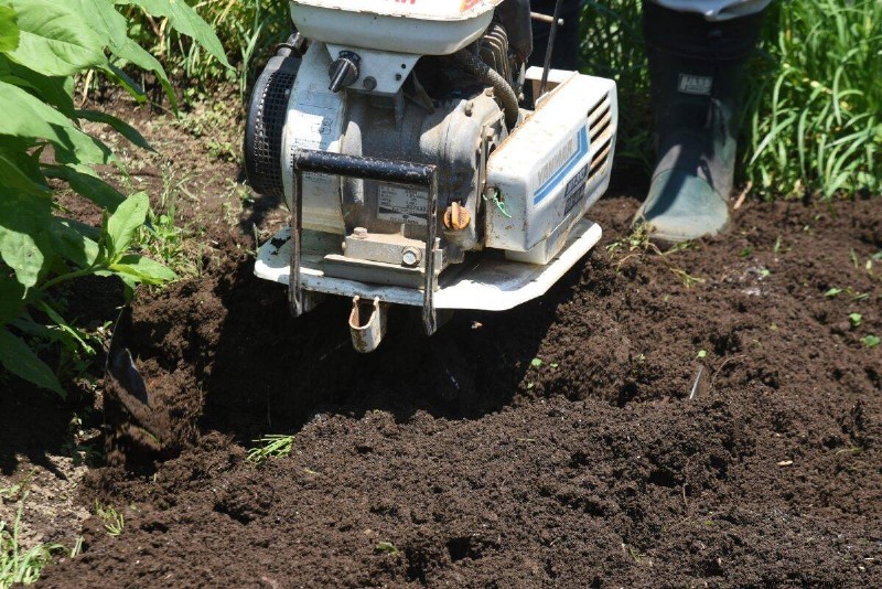 Transform Clay Soil: 13 Simple Steps to Improve Drainage & Fertility