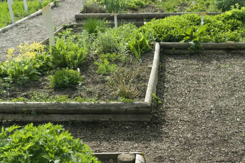 Transform Clay Soil: 13 Simple Steps to Improve Drainage & Fertility