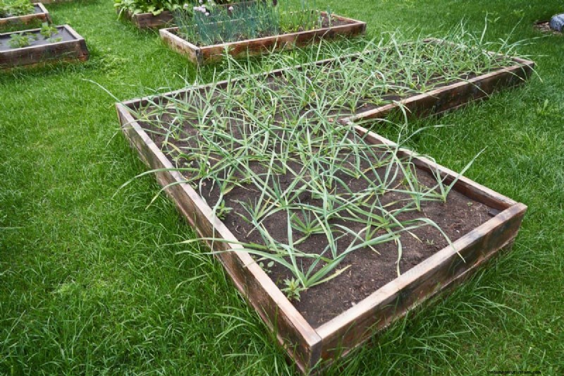 Transform Clay Soil: 13 Simple Steps to Improve Drainage & Fertility