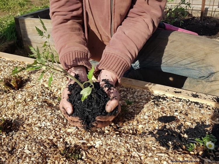 Transform Clay Soil: 13 Simple Steps to Improve Drainage & Fertility