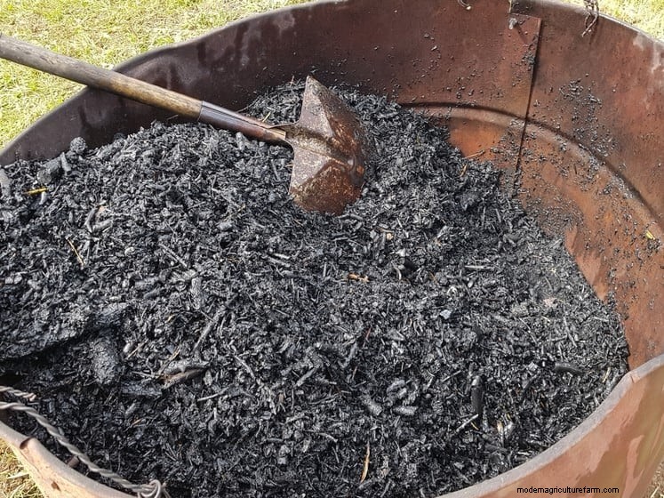 Transform Clay Soil: 13 Simple Steps to Improve Drainage & Fertility