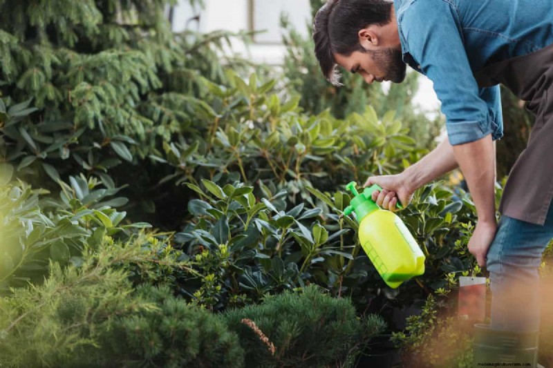 Transform Clay Soil: 13 Simple Steps to Improve Drainage & Fertility