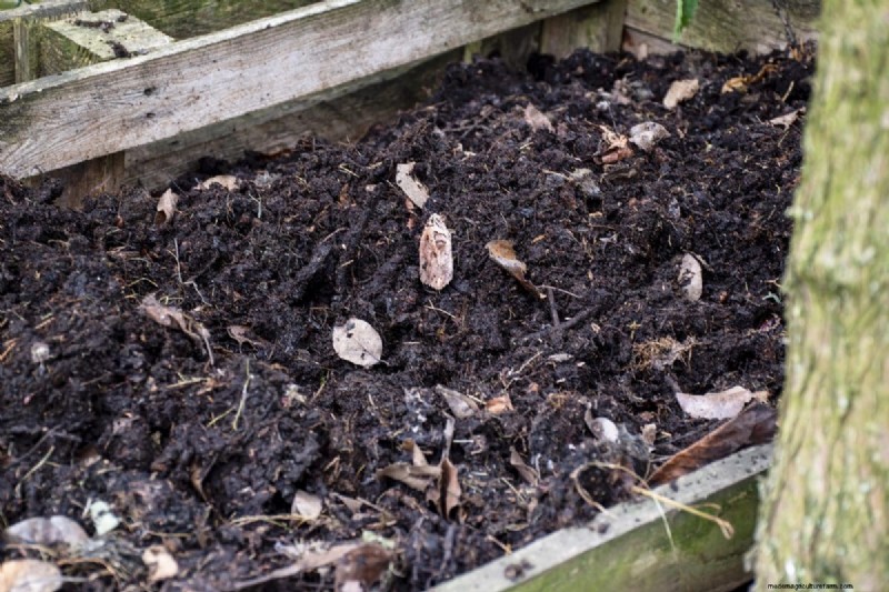 Transform Clay Soil: 13 Simple Steps to Improve Drainage & Fertility