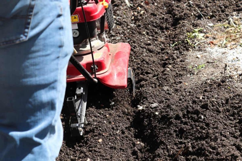 Transform Clay Soil: 13 Simple Steps to Improve Drainage & Fertility