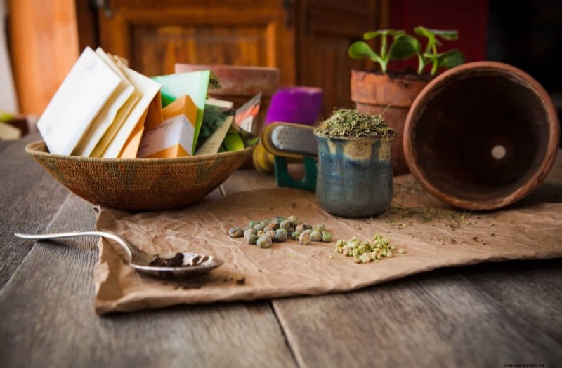Boost Seed Germination: 16 Proven Hacks for Higher Success