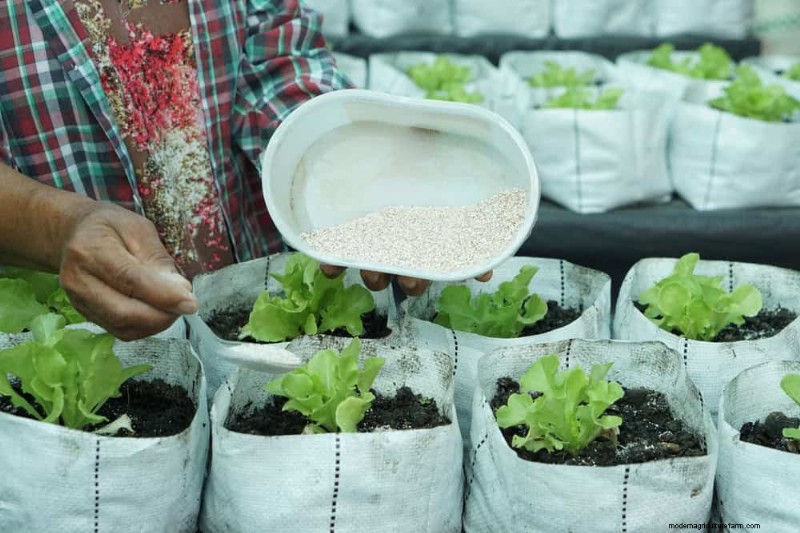 Eggshells in the Garden: Benefits, Uses & Debunked Myths