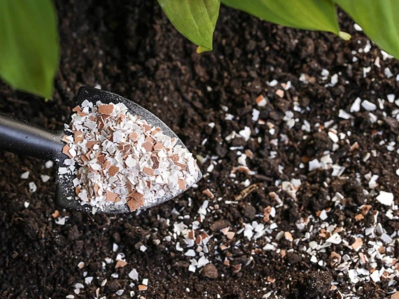 Eggshells in the Garden: Benefits, Uses & Debunked Myths