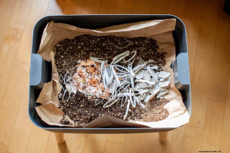 Eggshells in the Garden: Benefits, Uses & Debunked Myths