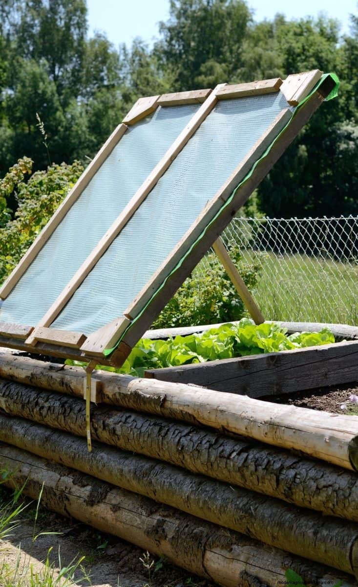 Eggshells in the Garden: Benefits, Uses & Debunked Myths