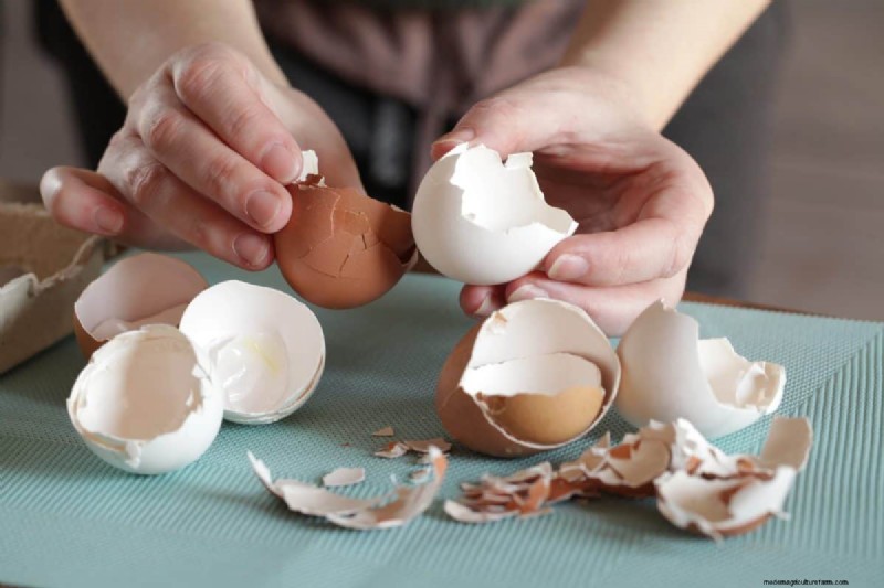 Eggshells in the Garden: Benefits, Uses & Debunked Myths