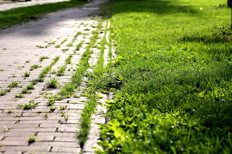 16 Common Front Walkway Mistakes & How to Fix Them
