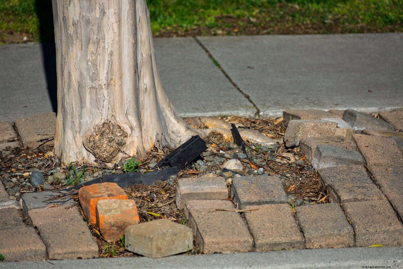 16 Common Front Walkway Mistakes & How to Fix Them