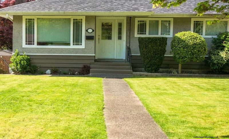 16 Common Front Walkway Mistakes & How to Fix Them
