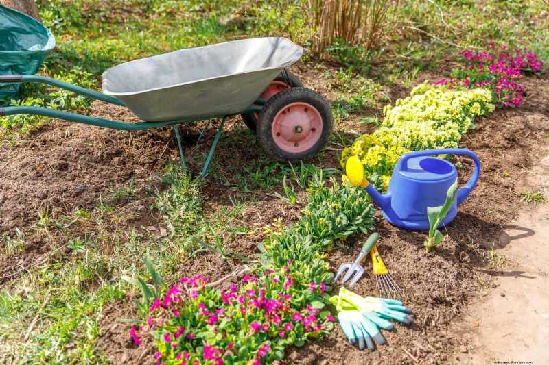 16 Common Front Walkway Mistakes & How to Fix Them