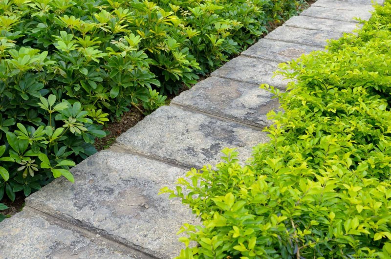 16 Common Front Walkway Mistakes & How to Fix Them